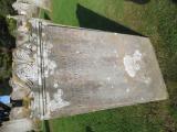 image number C8_235